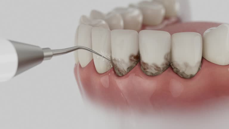 Reliable Dental contractor in Warwick, RI by Dentist Open Now